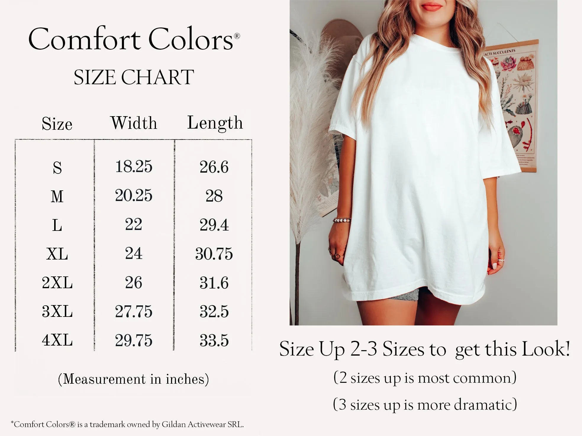 Boho Sun and Moon Comfort Colors® Tshirt