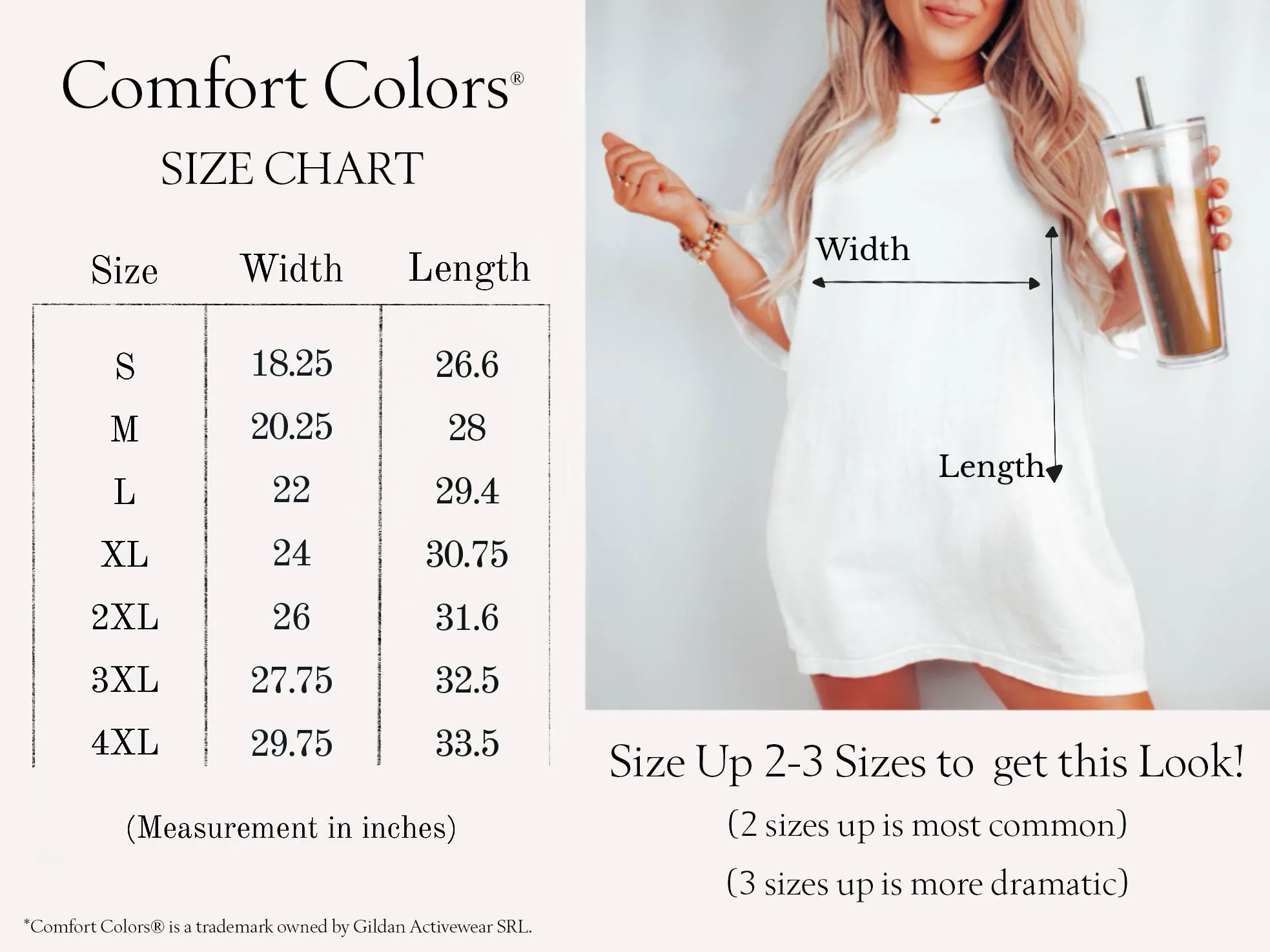 Malibu Comfort Colors® Tshirt - Pink Ink
